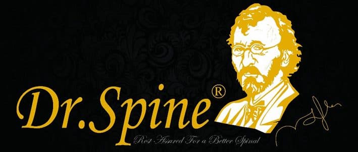 Dr. Spine Logo - Premium Orthopedic Mattresses