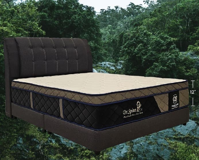 Triumph Orthopedic Mattress